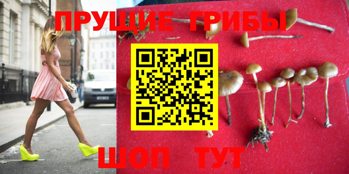 как найти закладки  Псилоцибиновые грибы GOLDEN TEACHER  Анапа  Вход с VPN  Галлюциногенные грибы мухоморы 