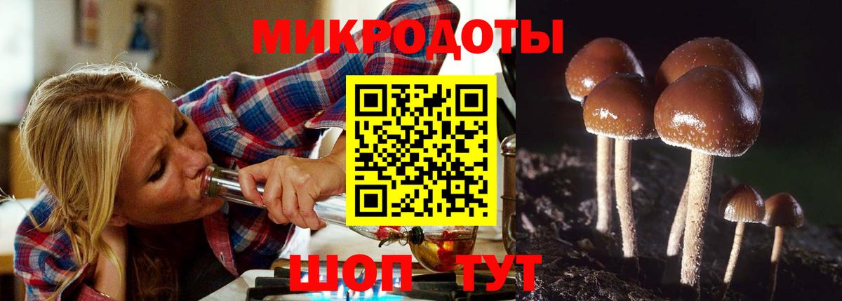 Галлюциногенные грибы ЛСД Анапа